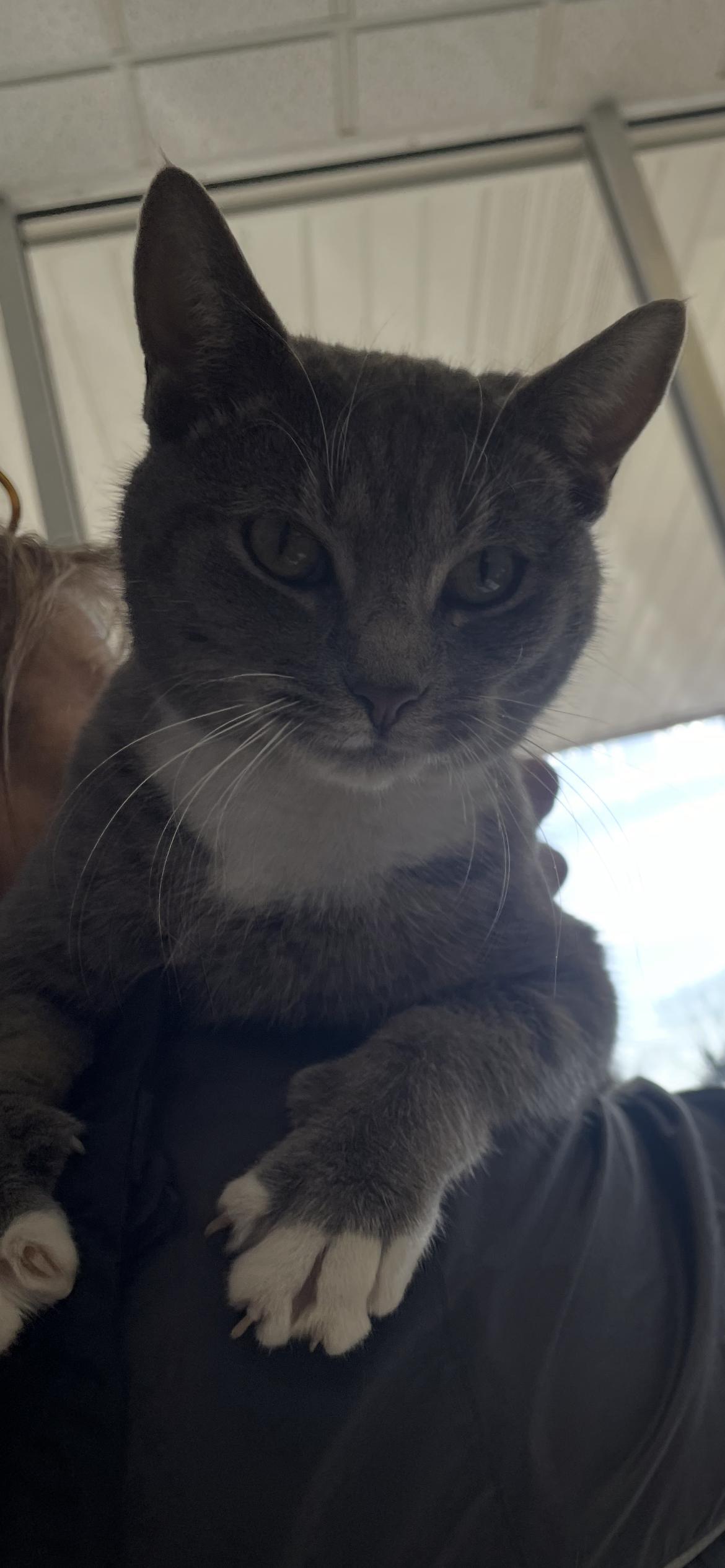 Tatiana Must Apply In