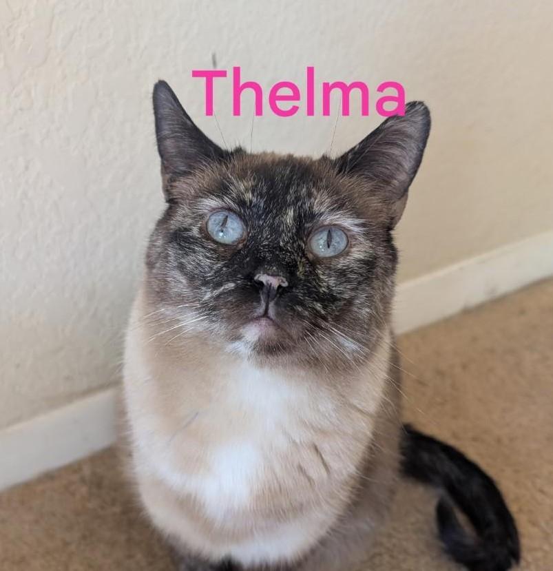 Thelma