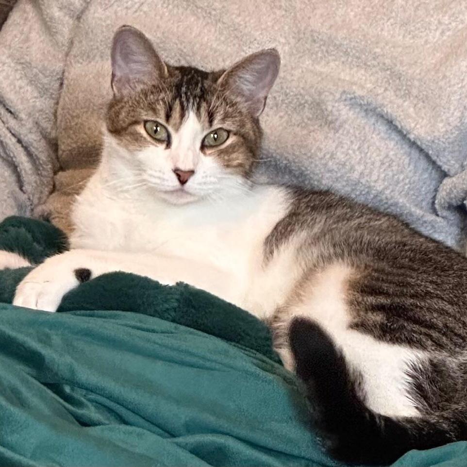 Naughty Nancy photo 1