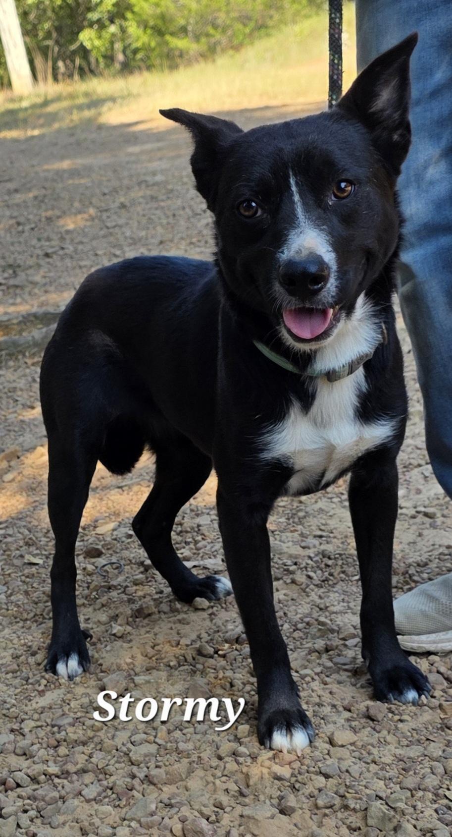Stormy