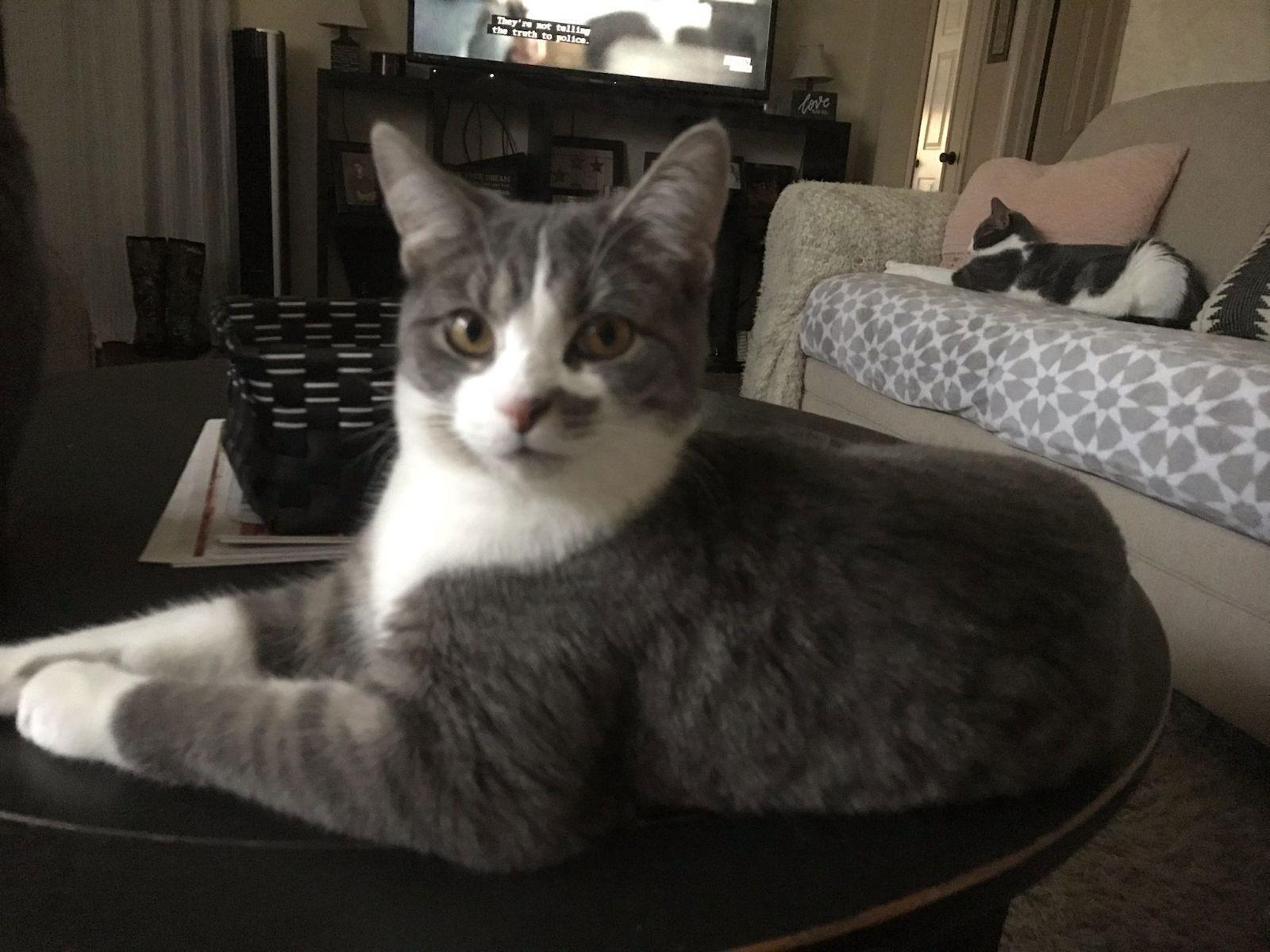 Marilyn Happy Girl! photo 1