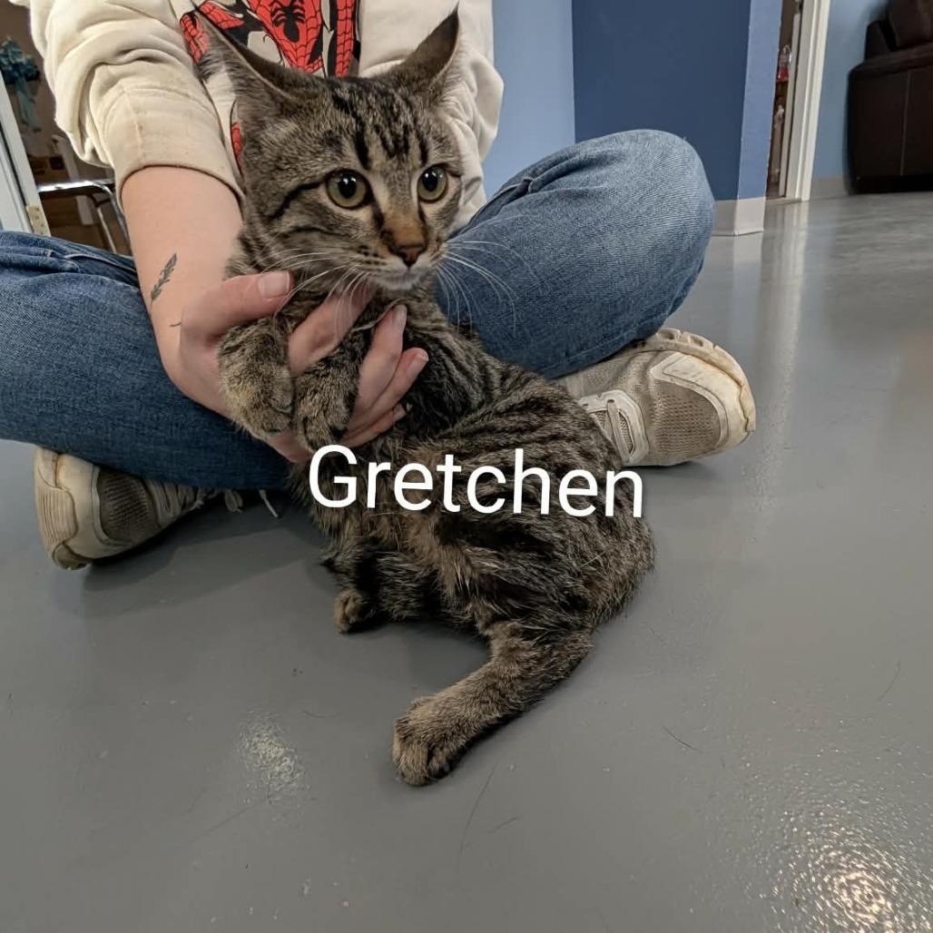 Gretchen