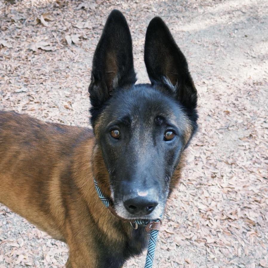 Marco Chino Hills Location