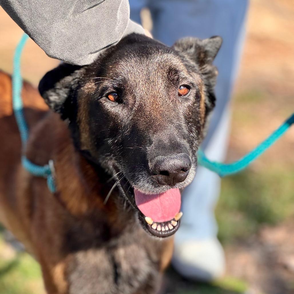 Marco Chino Hills Location