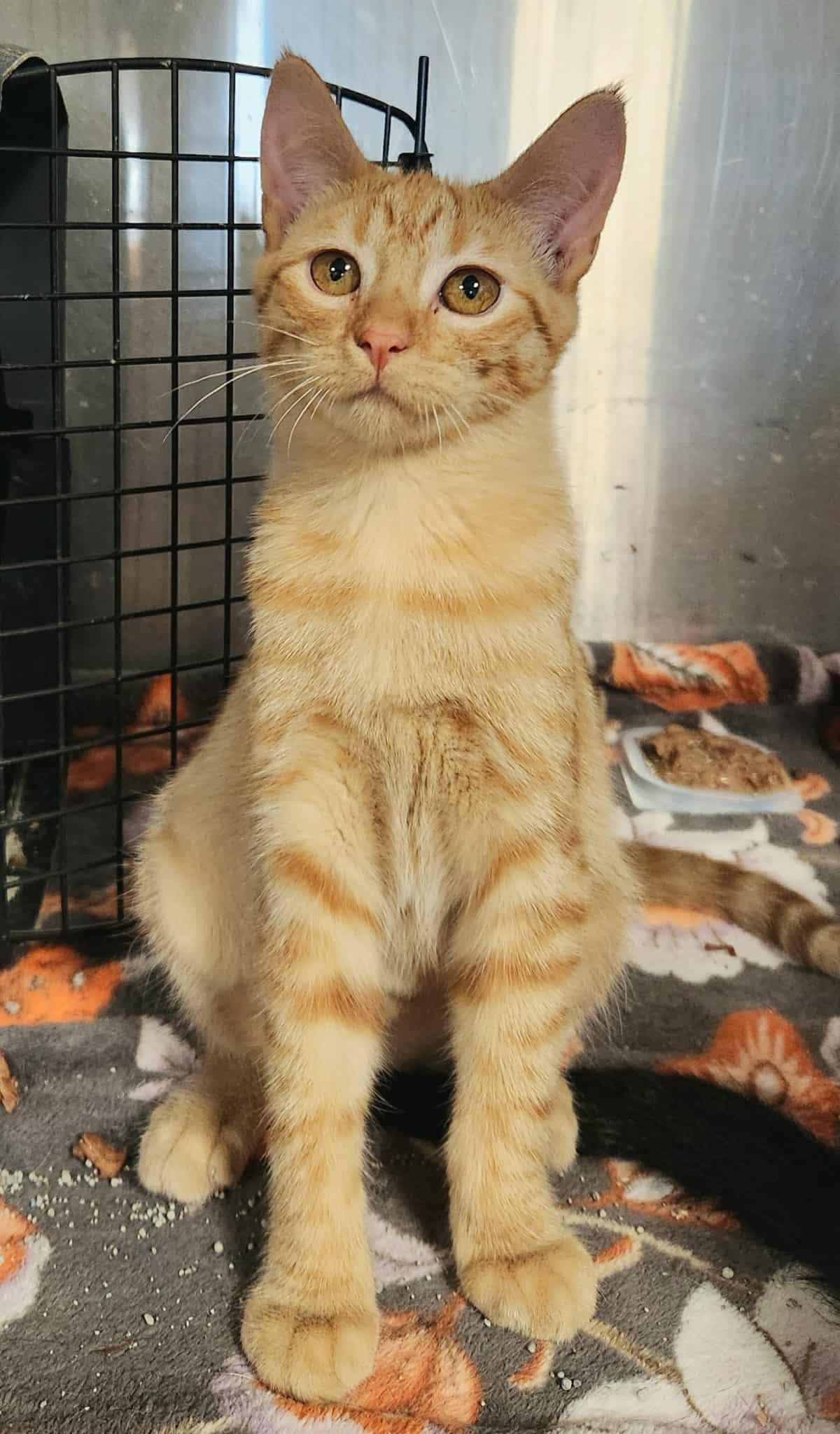 Colleenbonded With Liz