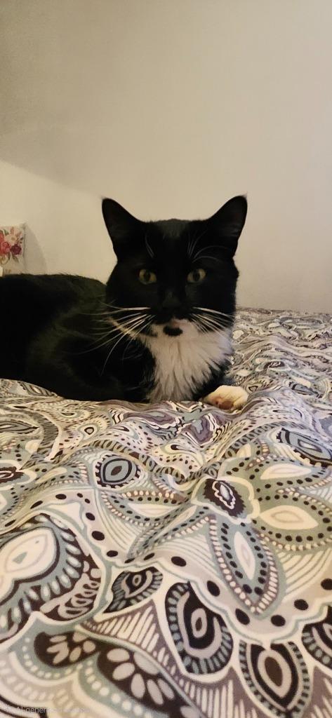 Mr. Picklesno Longer Accepting