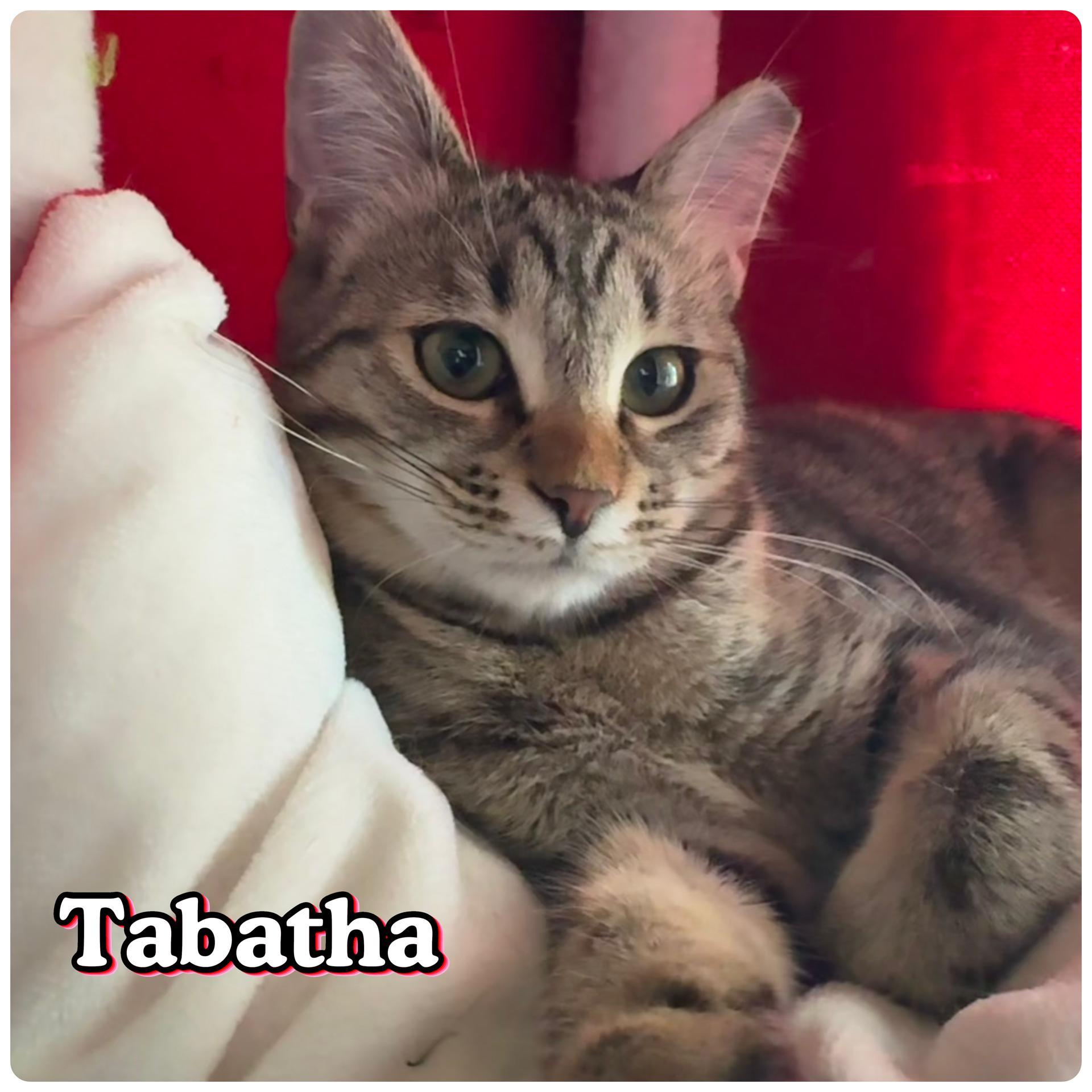 Tabatha
