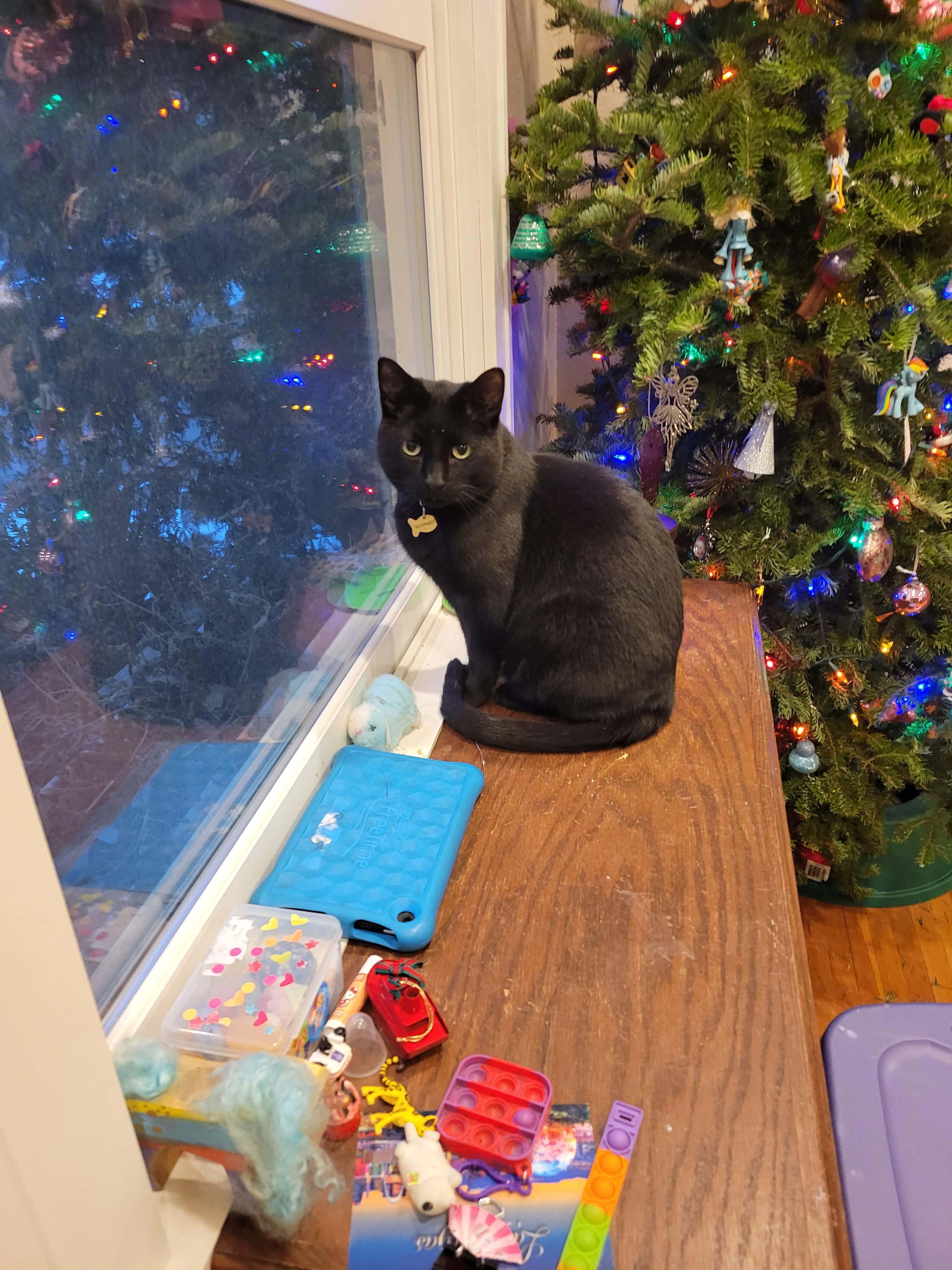 Phantom And Midnight