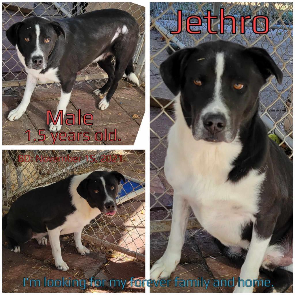 Jethro