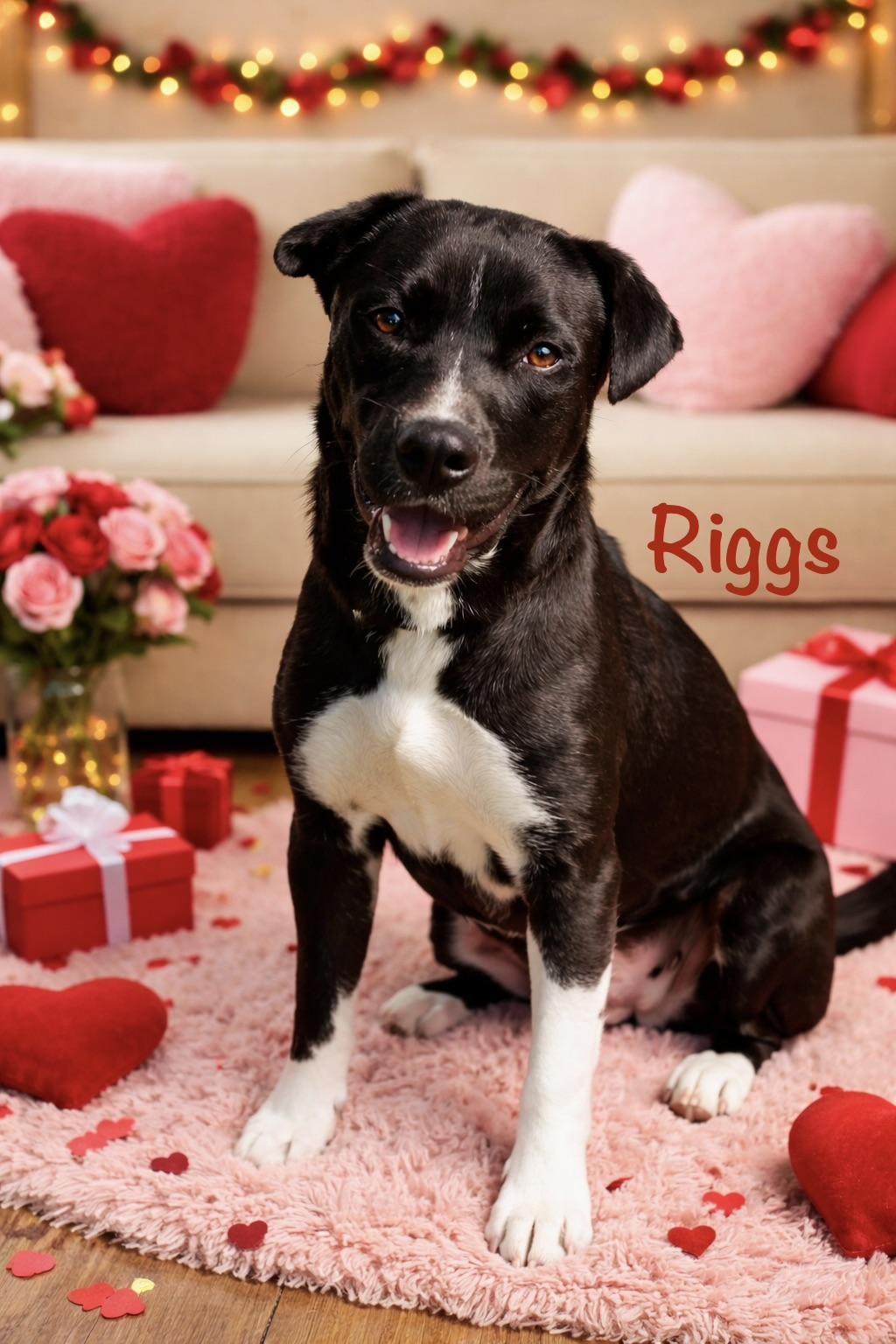 Riggs