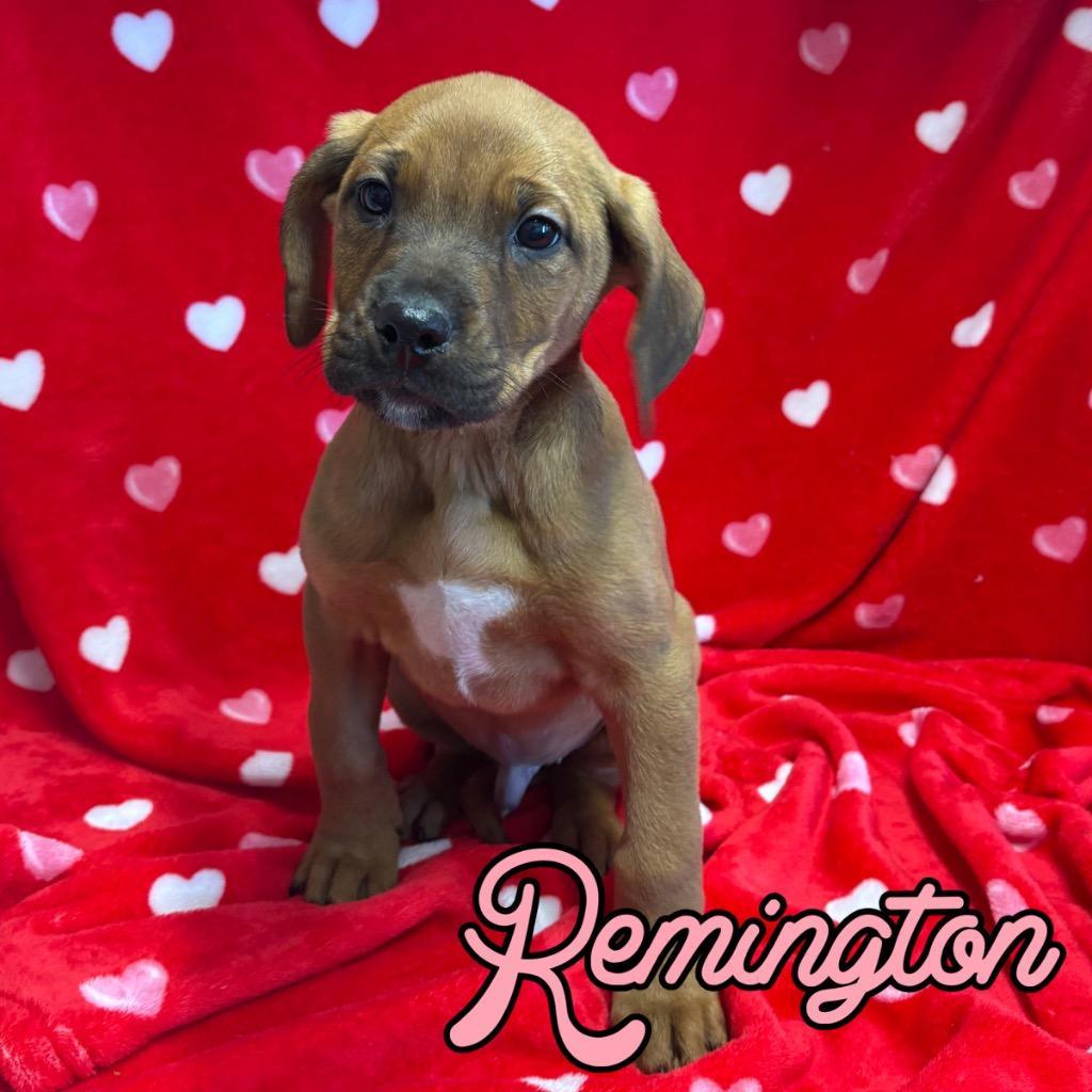 Remington