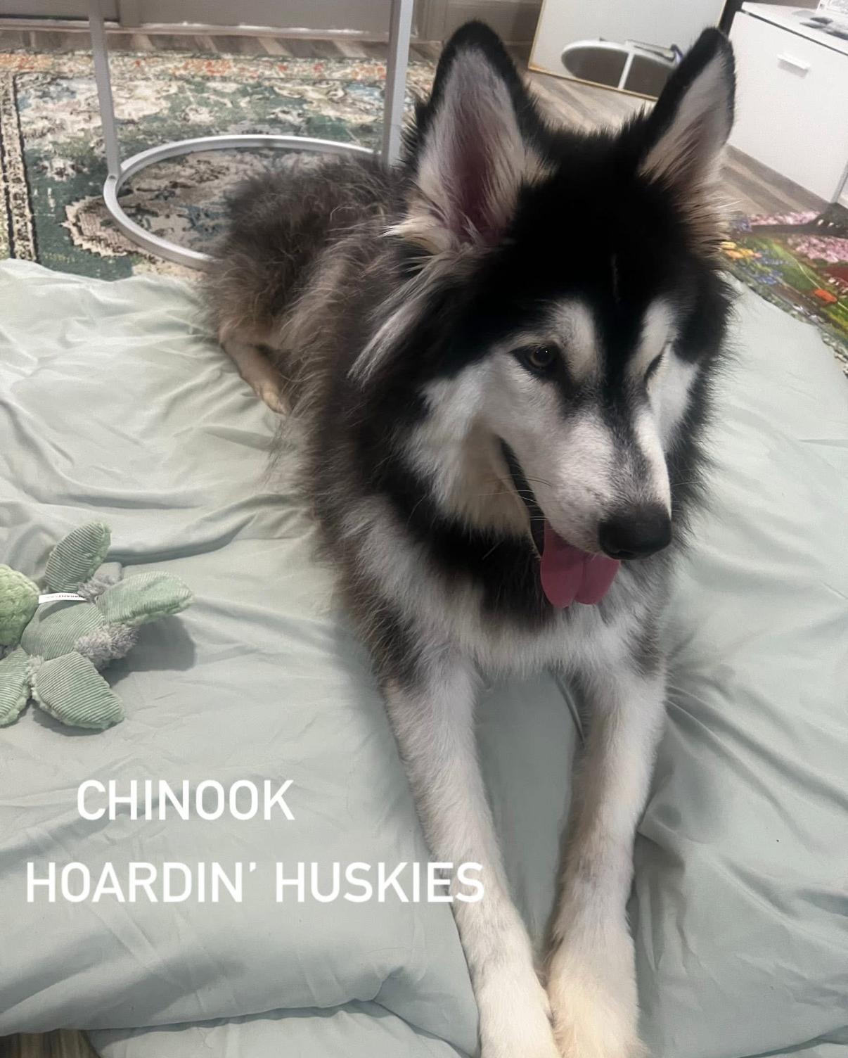 Chinook