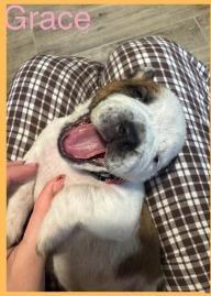 Grace