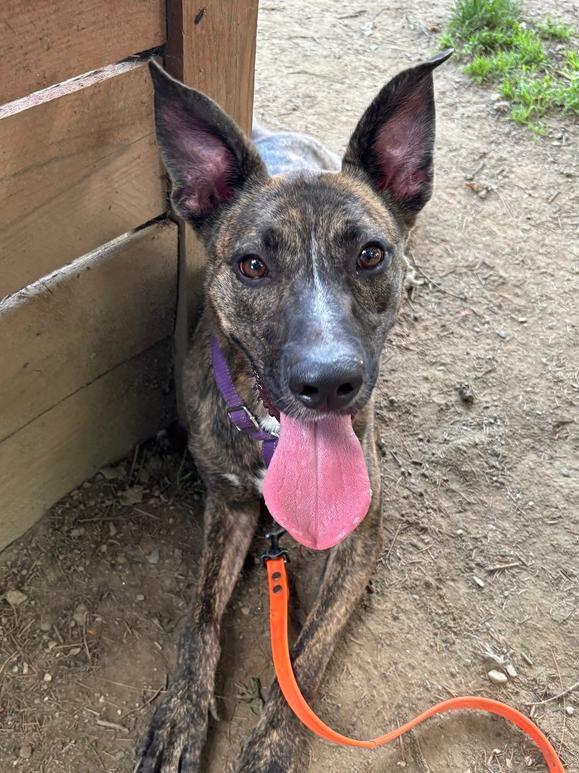 Wanda The Wonderful photo 1