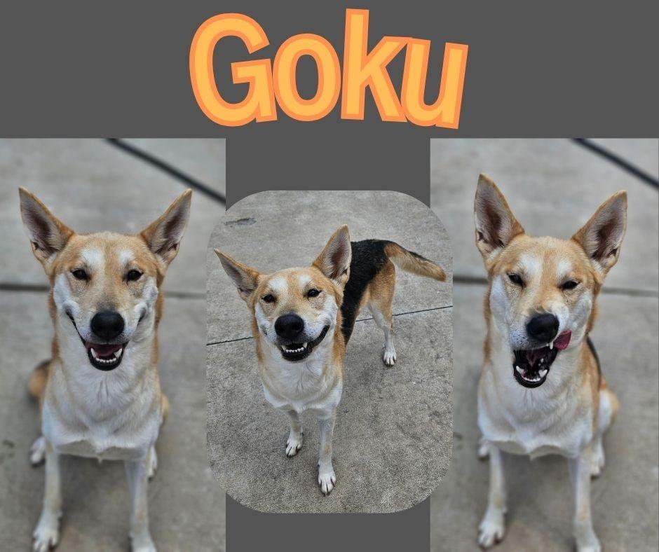 Goku