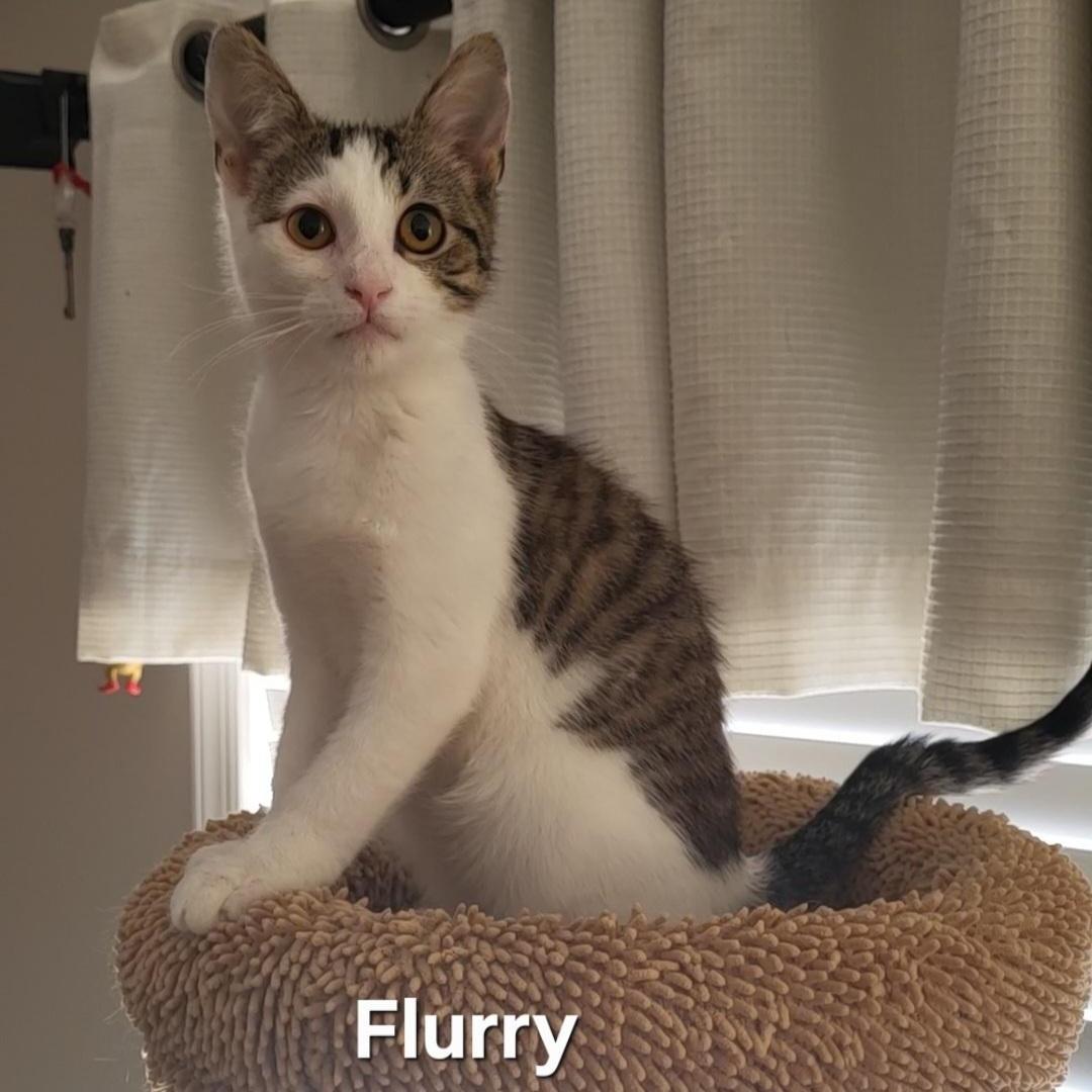 Flurry