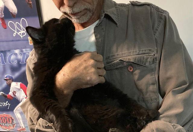 Hal Bonded With Pumpkin