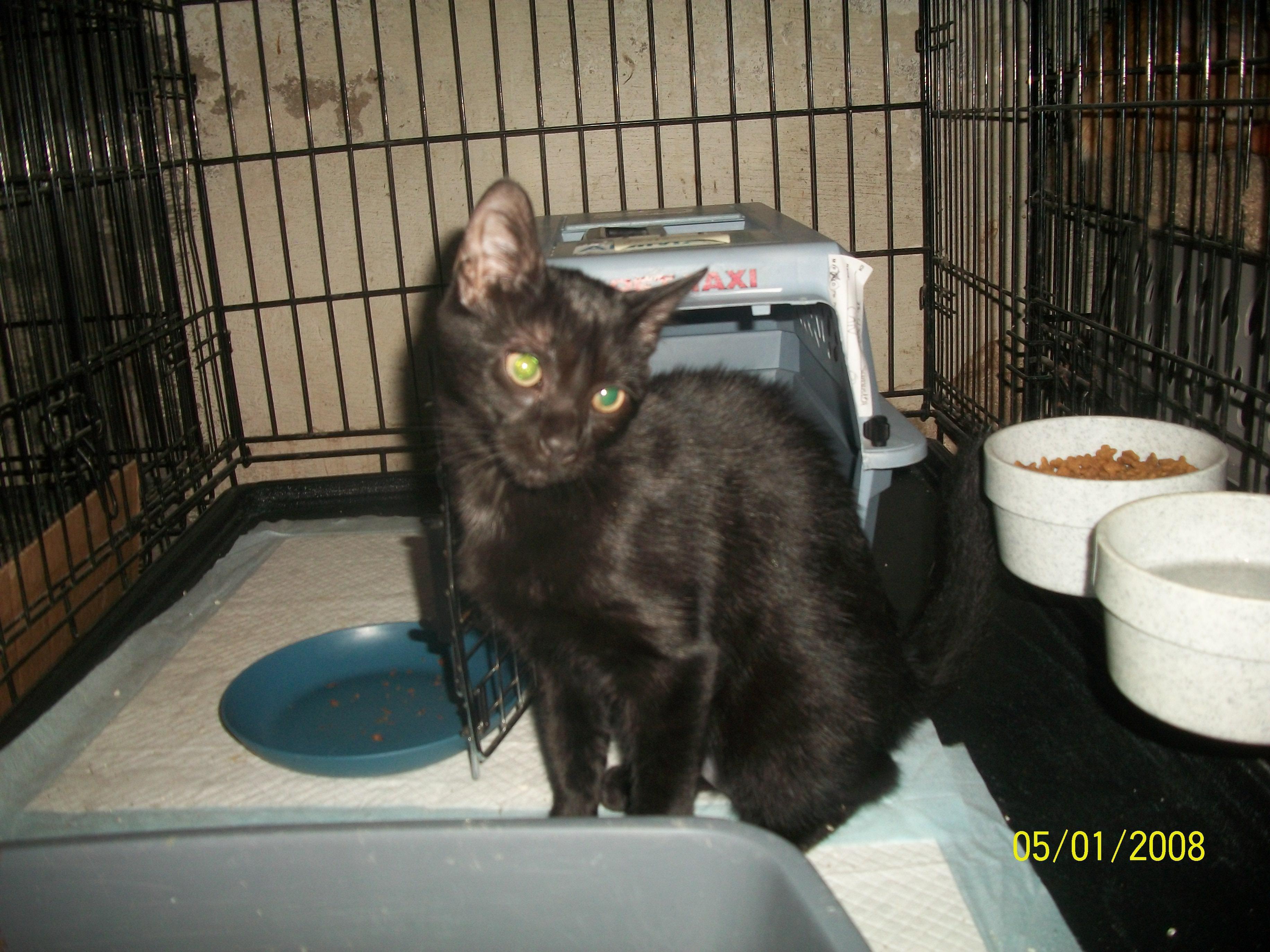 Samantha Courtesy Listing Sweetheart