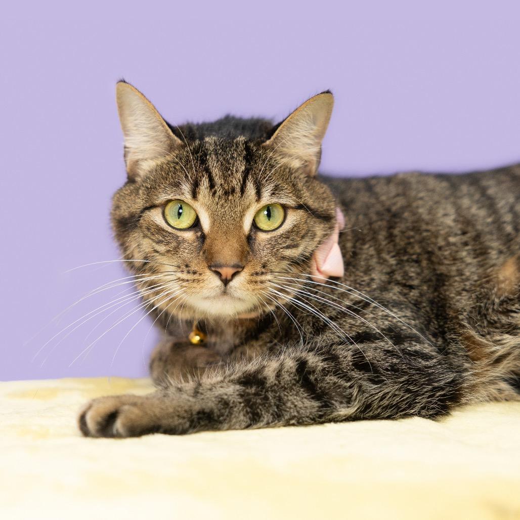 Penelope Aka Penny photo 1