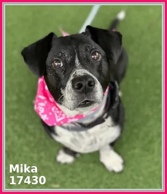 Mika