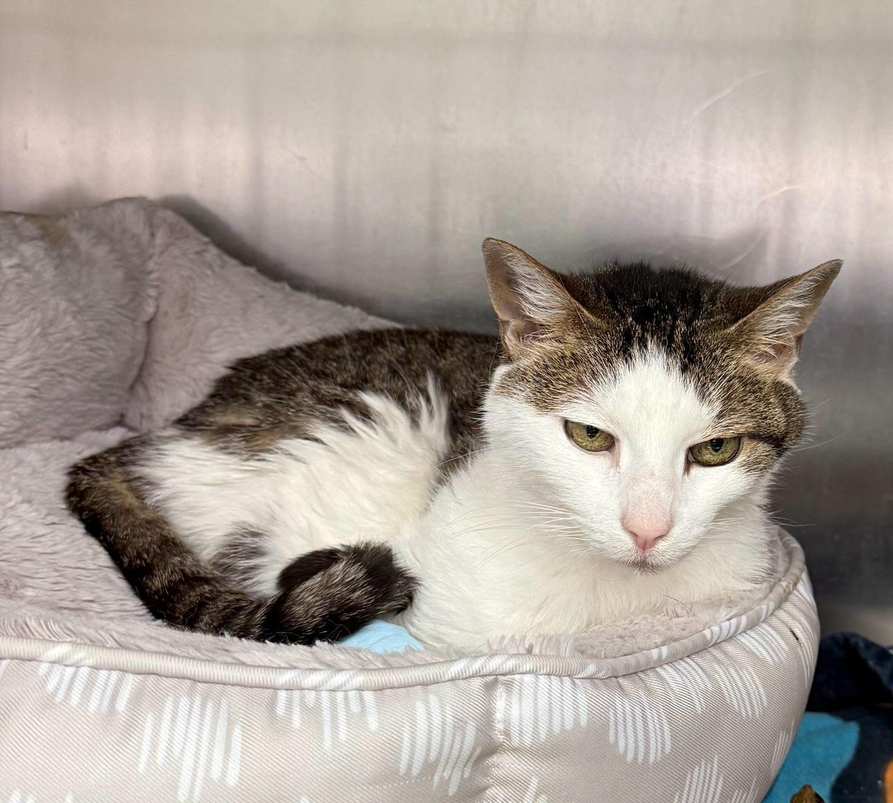 Zzcourtesy Listing For Julie