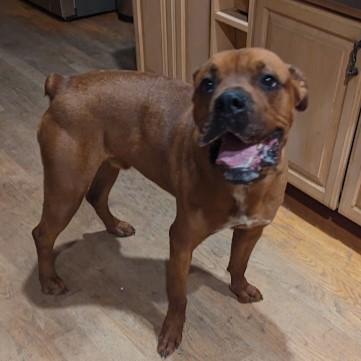 Stewiegentle And Sweet photo 1