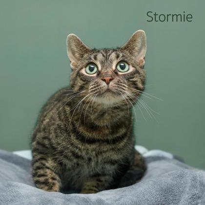 Stormie