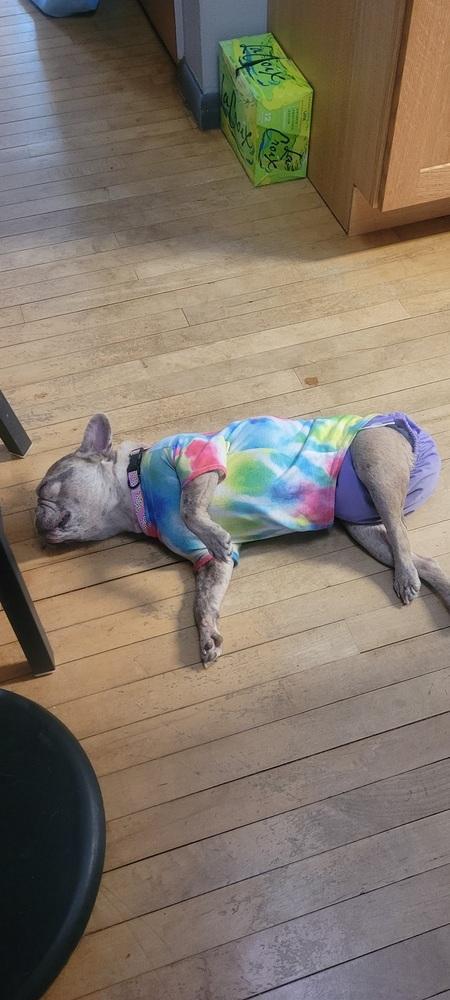 Lottie Popasheville Nc