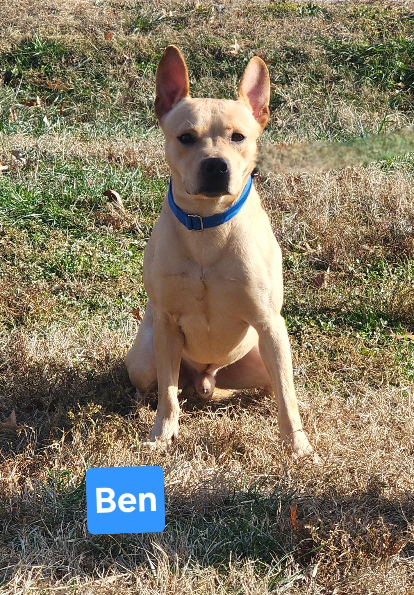 Ben