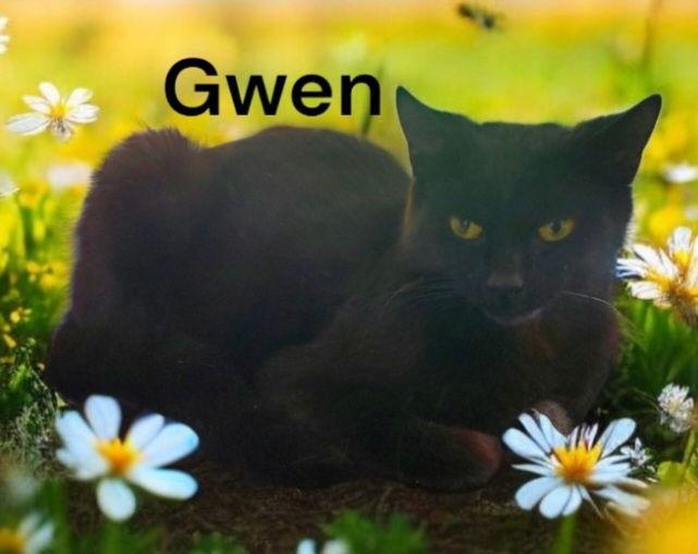 Gwen