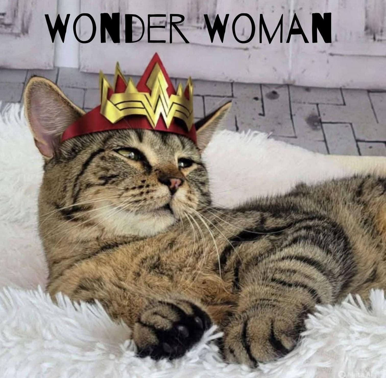 Wonder Woman photo 1