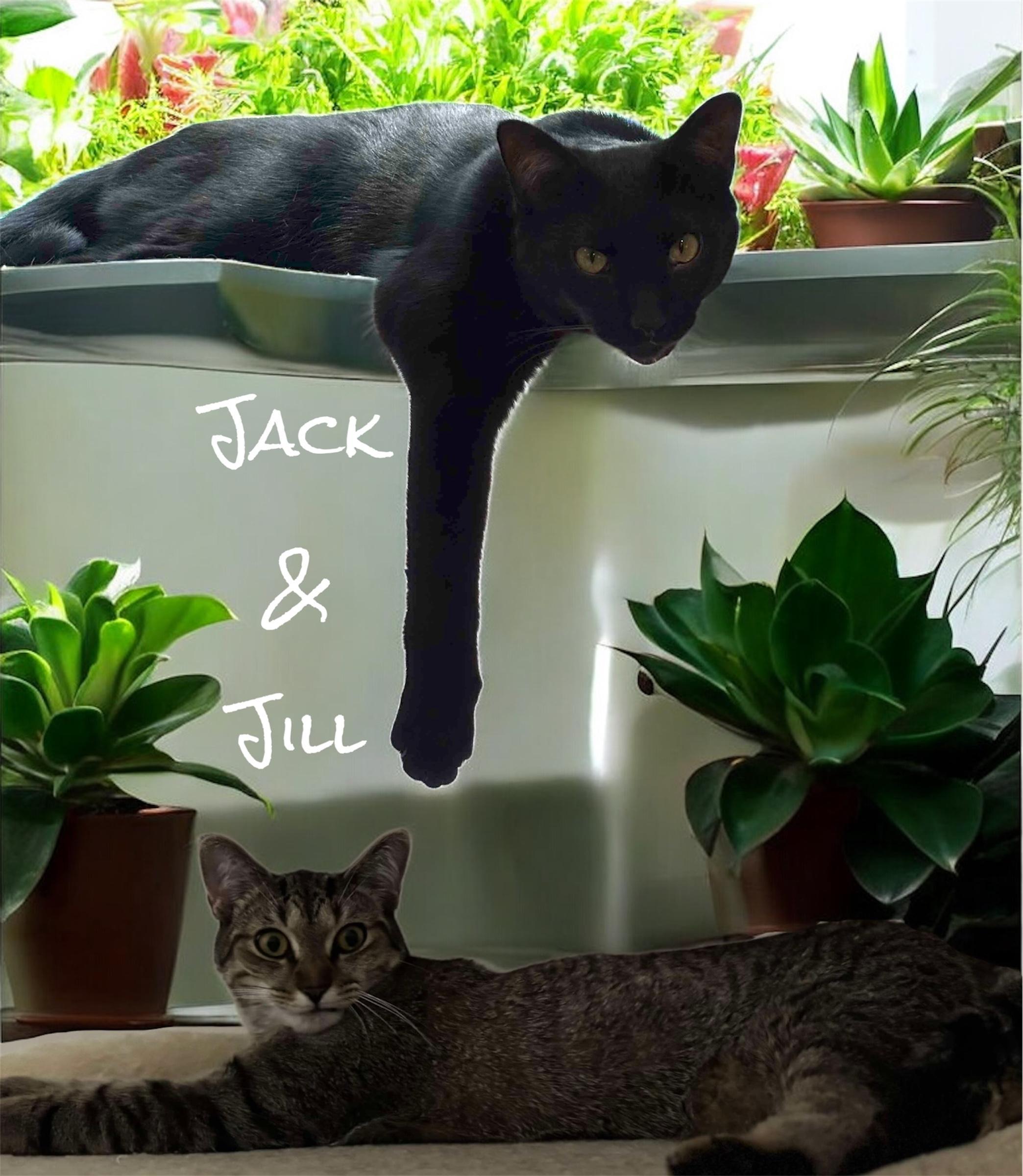 Jack & Jill