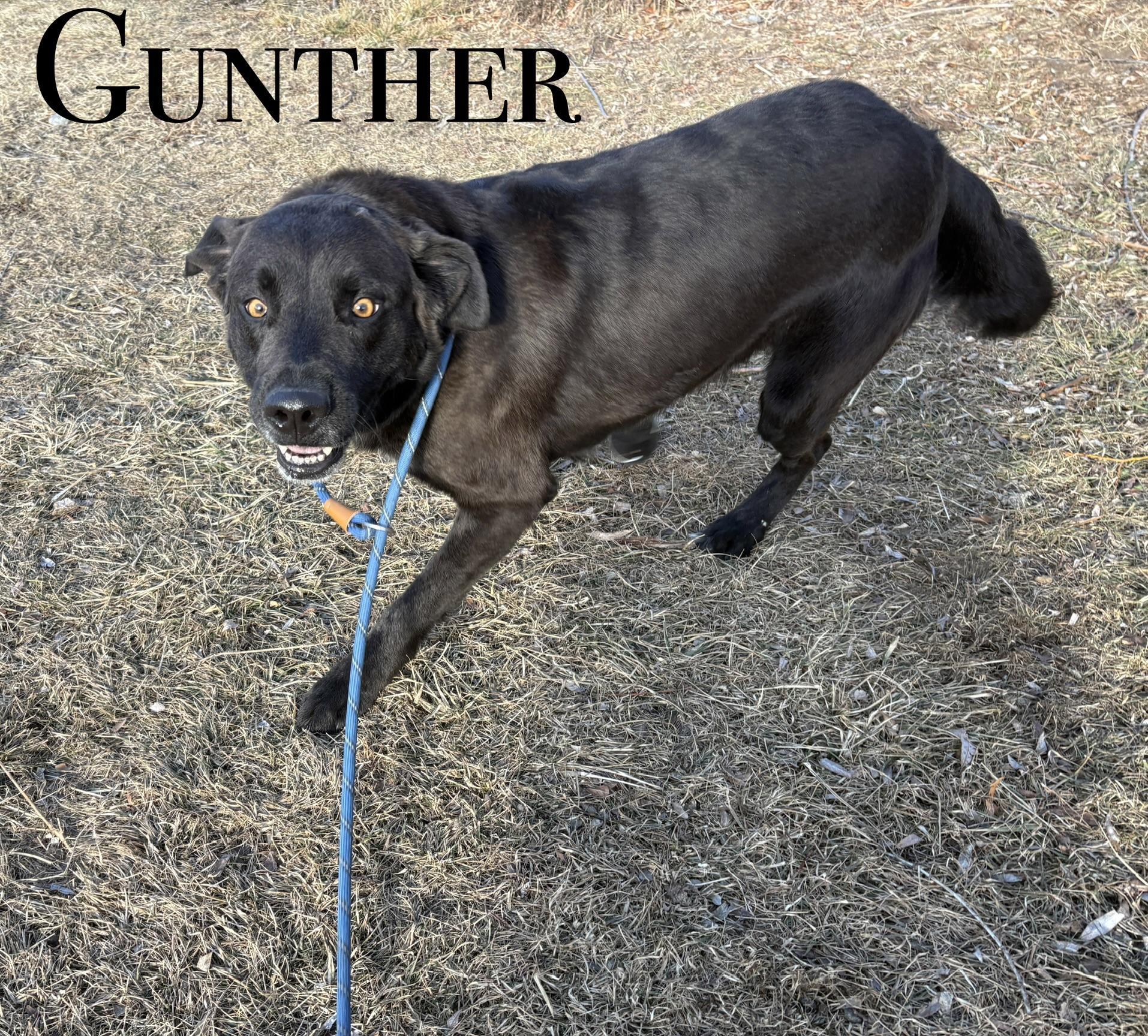 Gunther