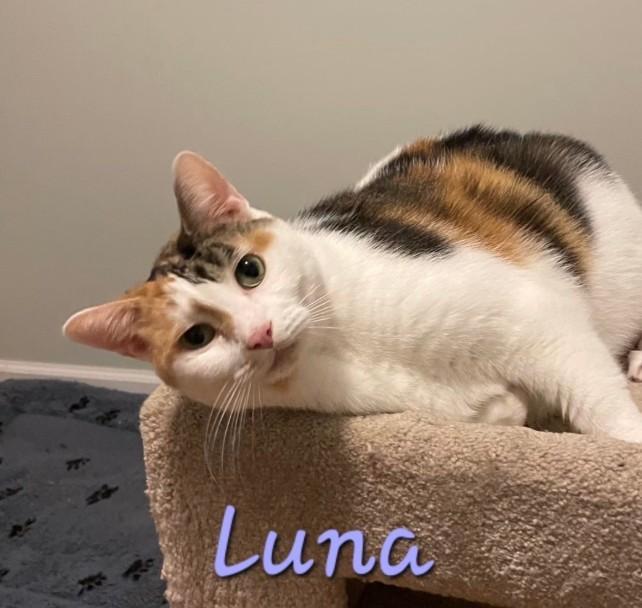 Luna