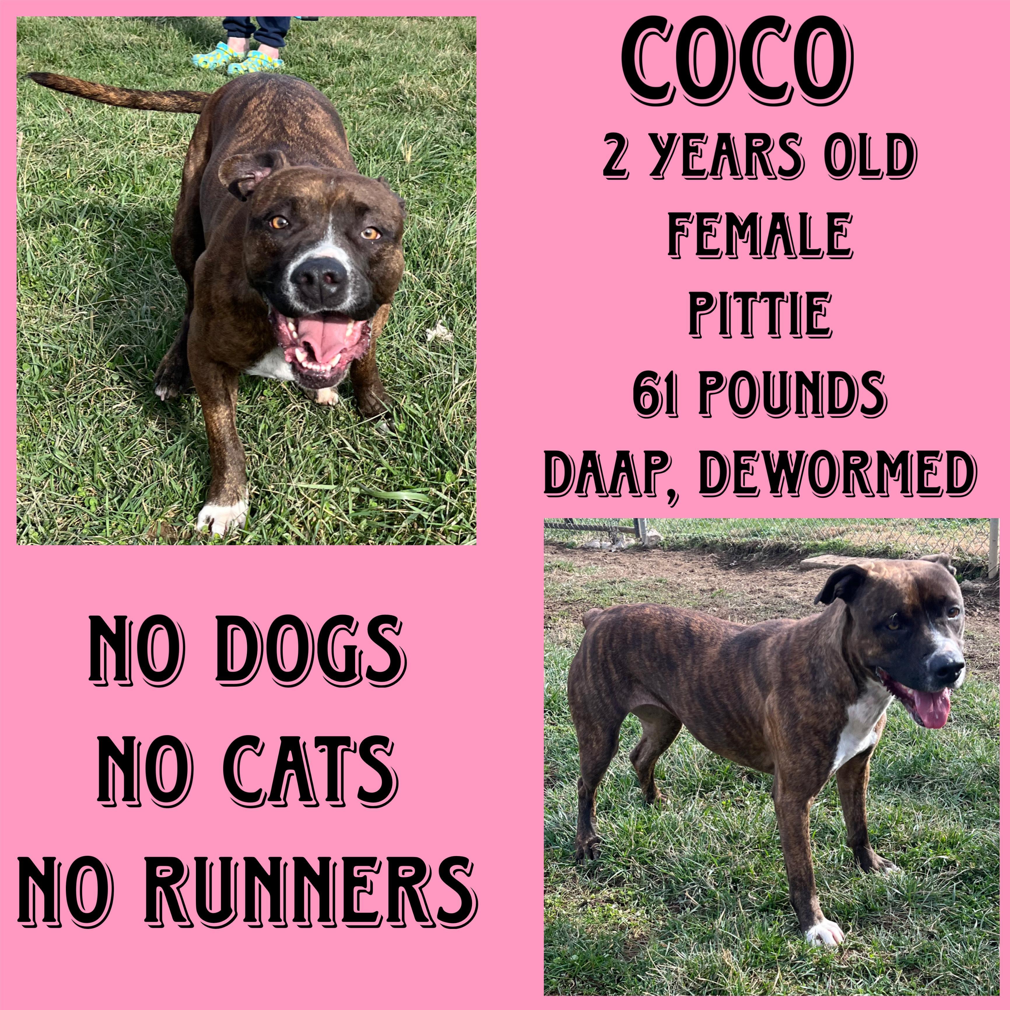 Coco
