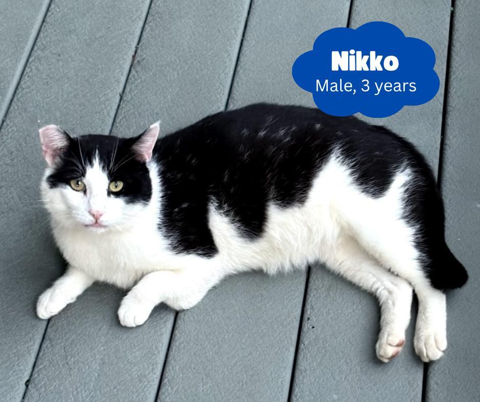 Nikko