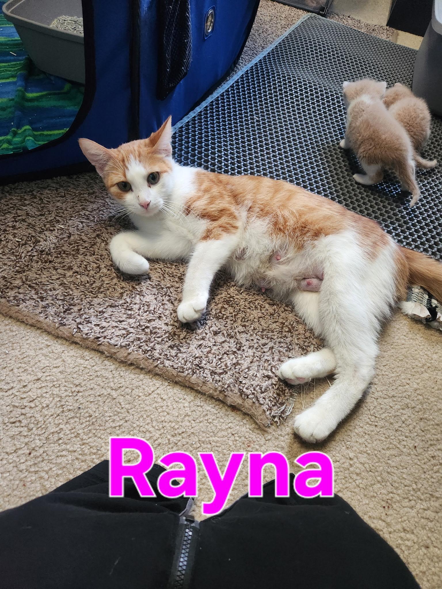 Rayna