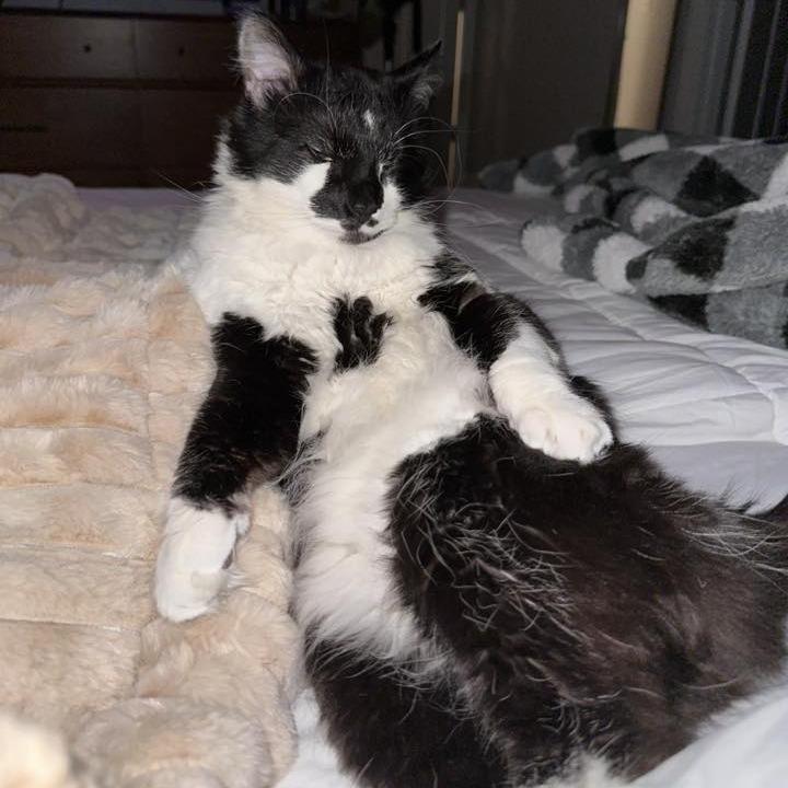 Trixie Harris photo 1