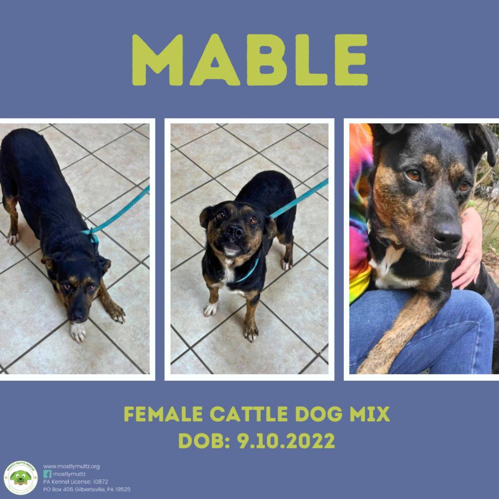 Mable