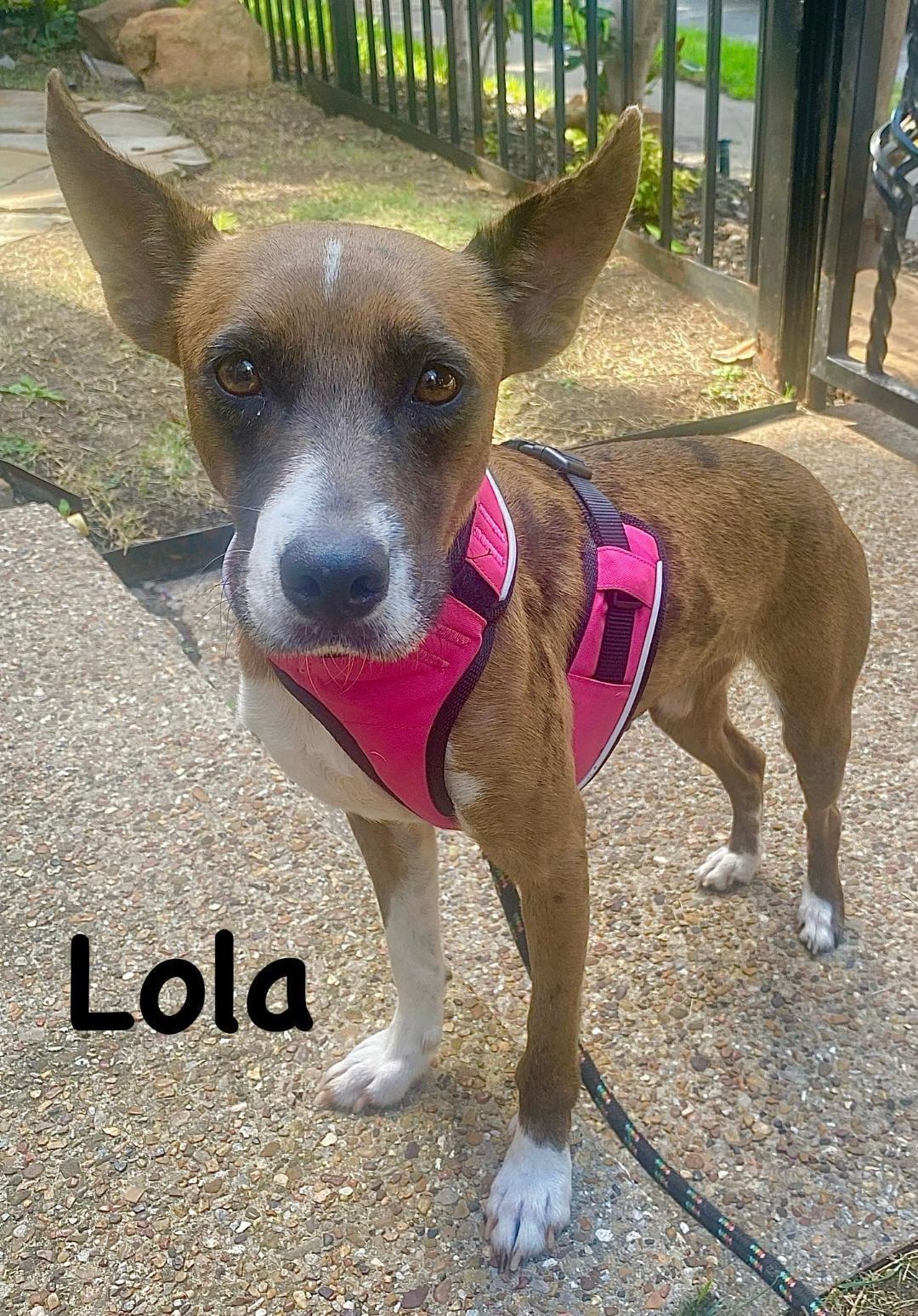 Lola