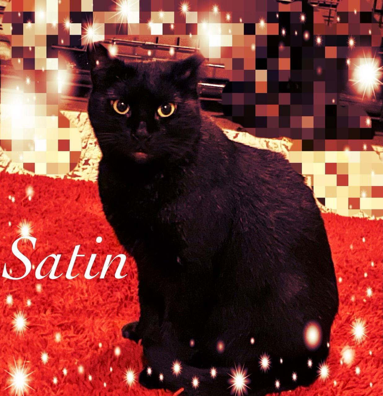 Satin