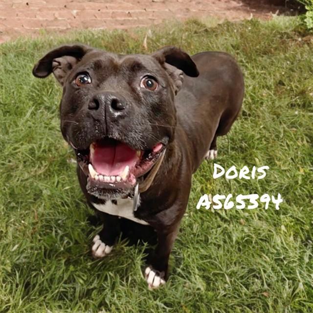 Doris