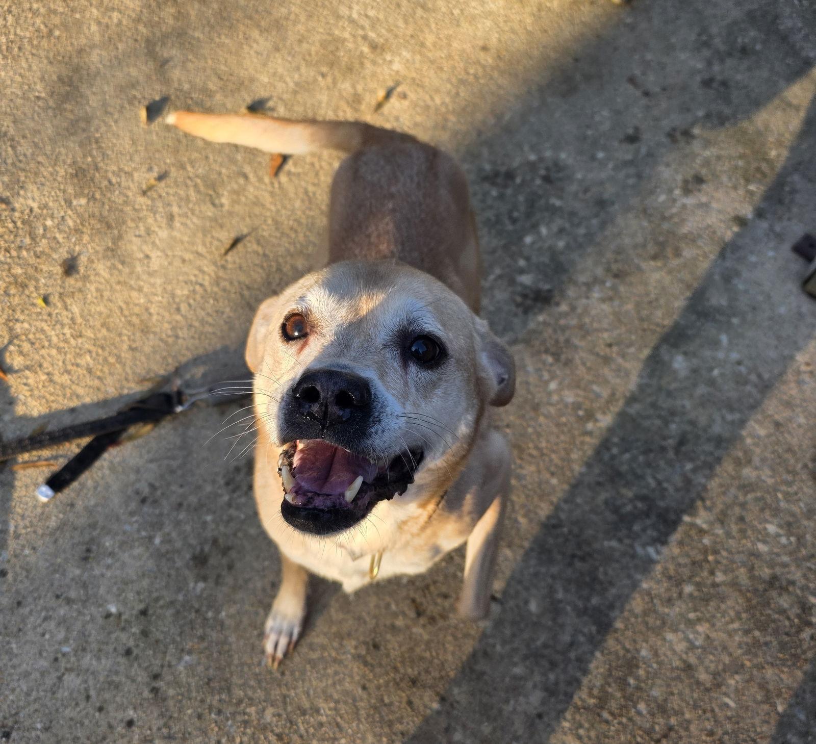 Pheobie Haven Bonded With