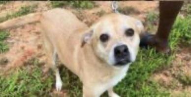 Pheobie Haven Bonded With