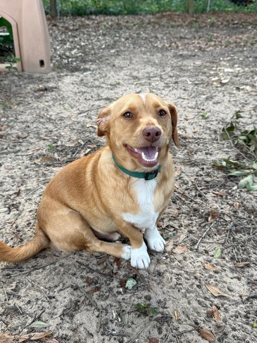 ~ Courtesy ~ Tater photo 1