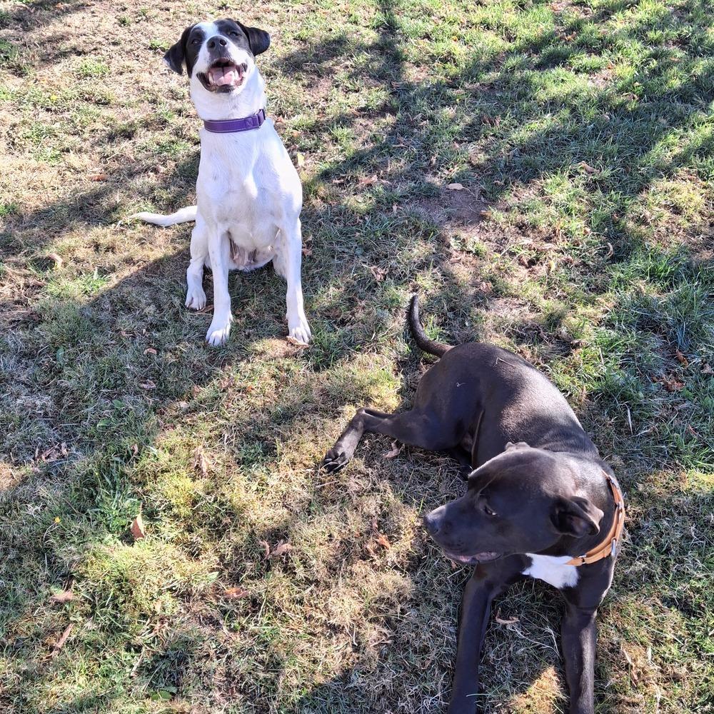 Wanda A 💜 🇨🇦