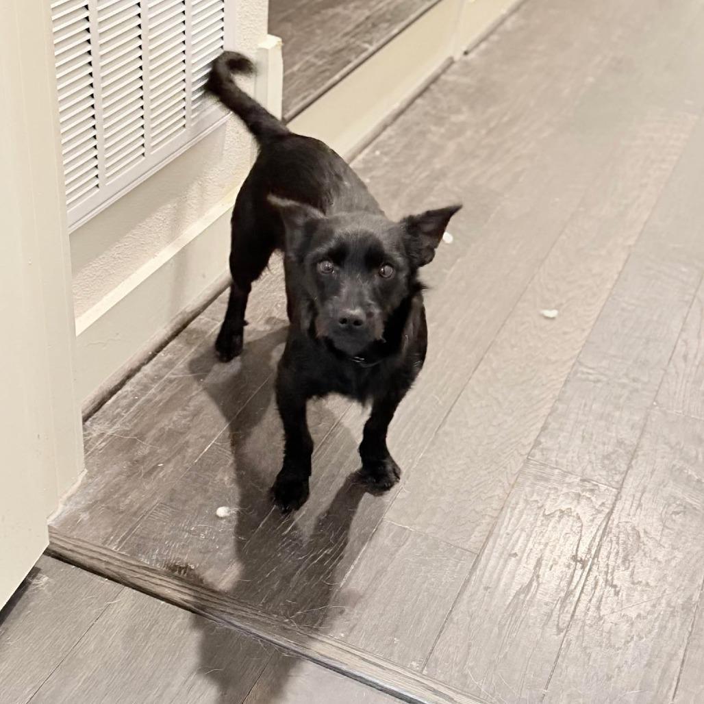 Georgeharrison D Arriving