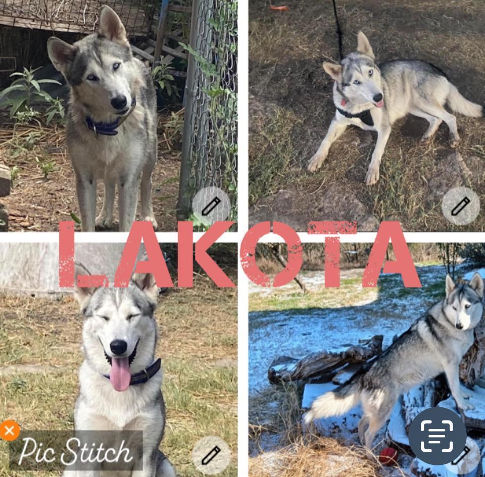Lakota