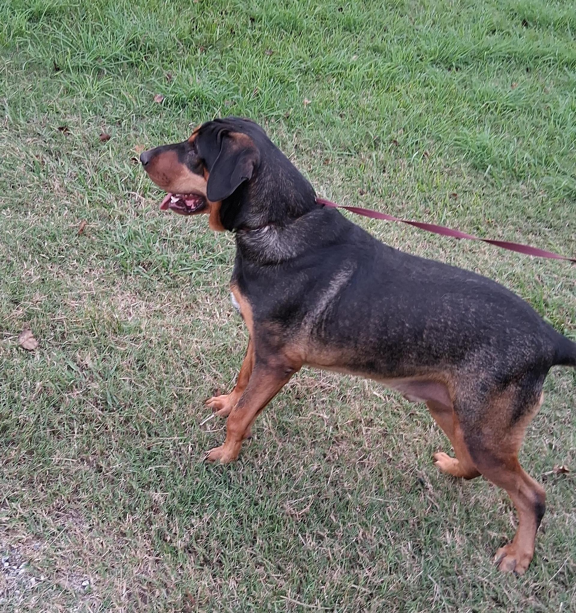 Roscoe