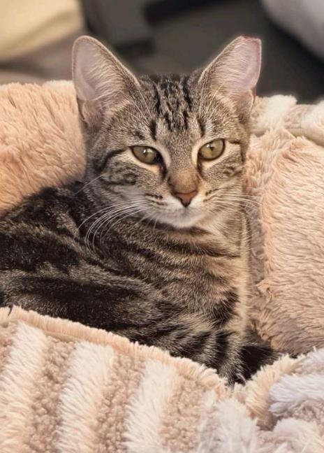 Paprika & Carolina photo 1